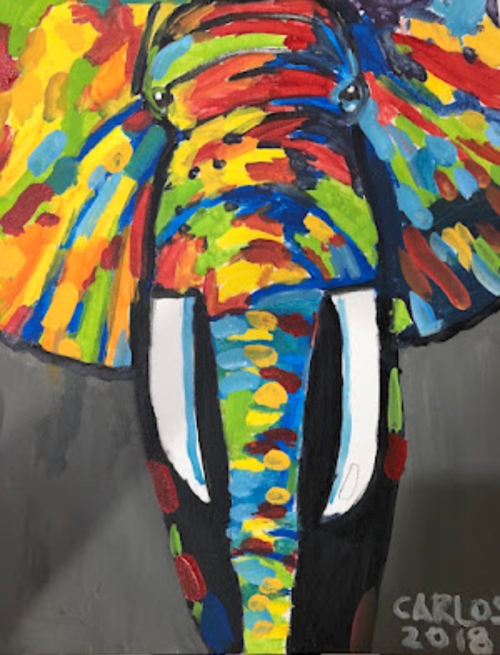 Colored Elephant