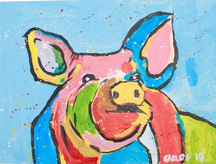 Colorful Pig