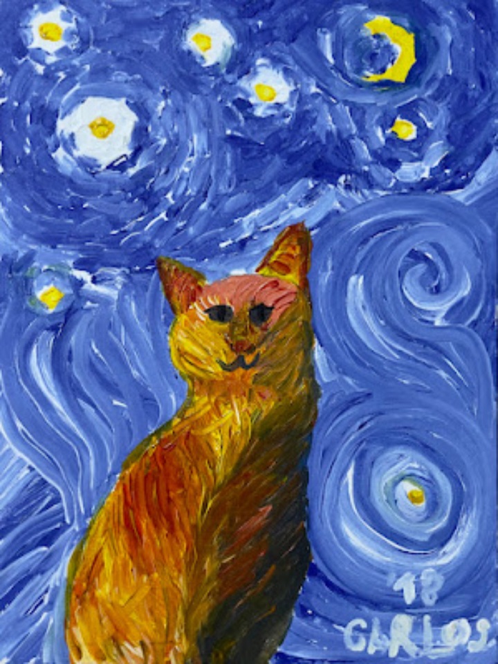 Starry Cat Night
